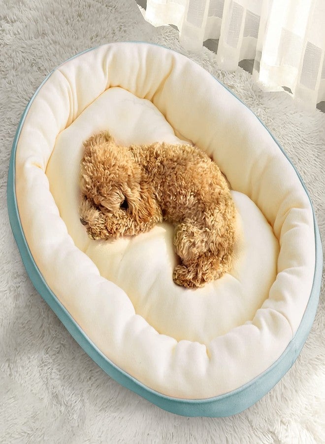 Fluffy's Polypropylene Dog Bed for Dogs & Cats, Durable Warm Dog Bed, Washable Sleeping Puppy Bed, Soft Calming Cat Beds for Indoor,Outdoor(Sky Blue, Small) - Image 1